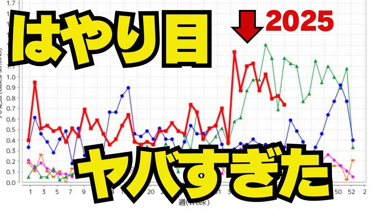 【体験談】流行性角結膜炎(はやり目)で保育園を2週間休んだ!家族にうつらなかった10の対策