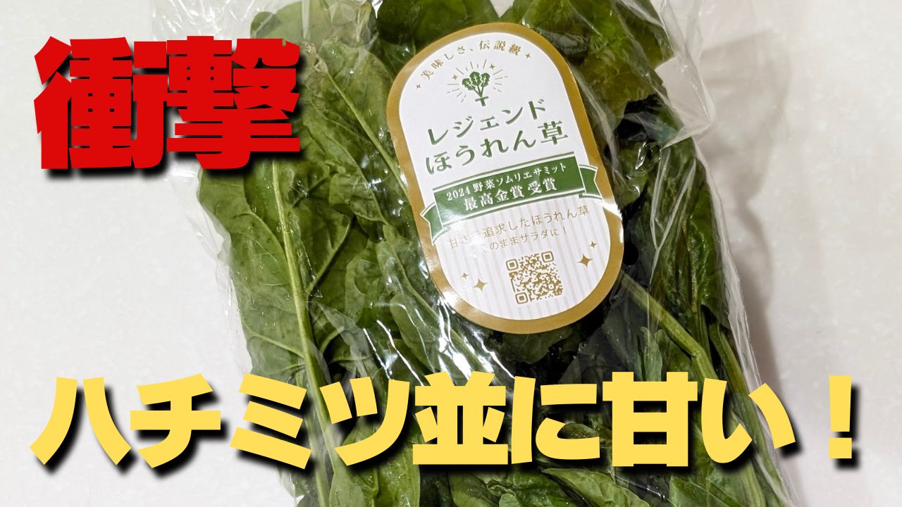 青空ストランで放送【レジェンドほうれん草】はハチミツくらい甘い！買う方法は？